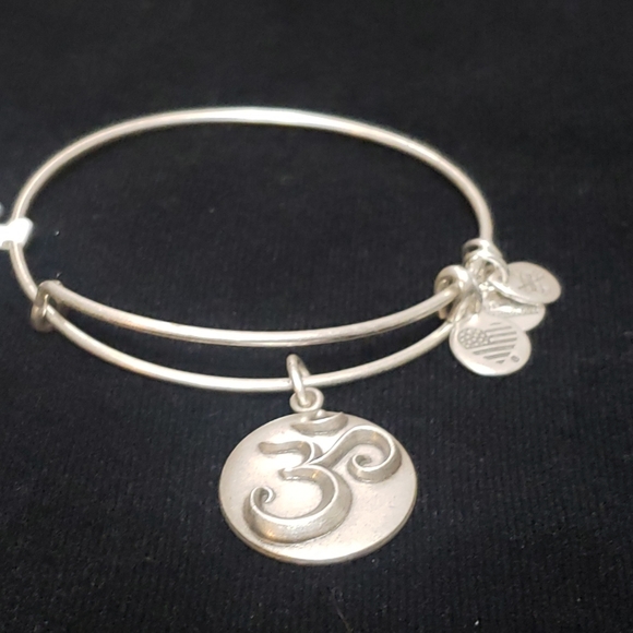 NWT Alex and Ani RS Ohm III 2016 - Picture 3 of 9